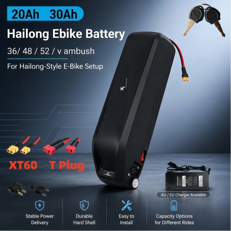 Batteria Hailong Versatile, Mu - Ebike Battery 48V 20Ah Hailong recensione e prezzo