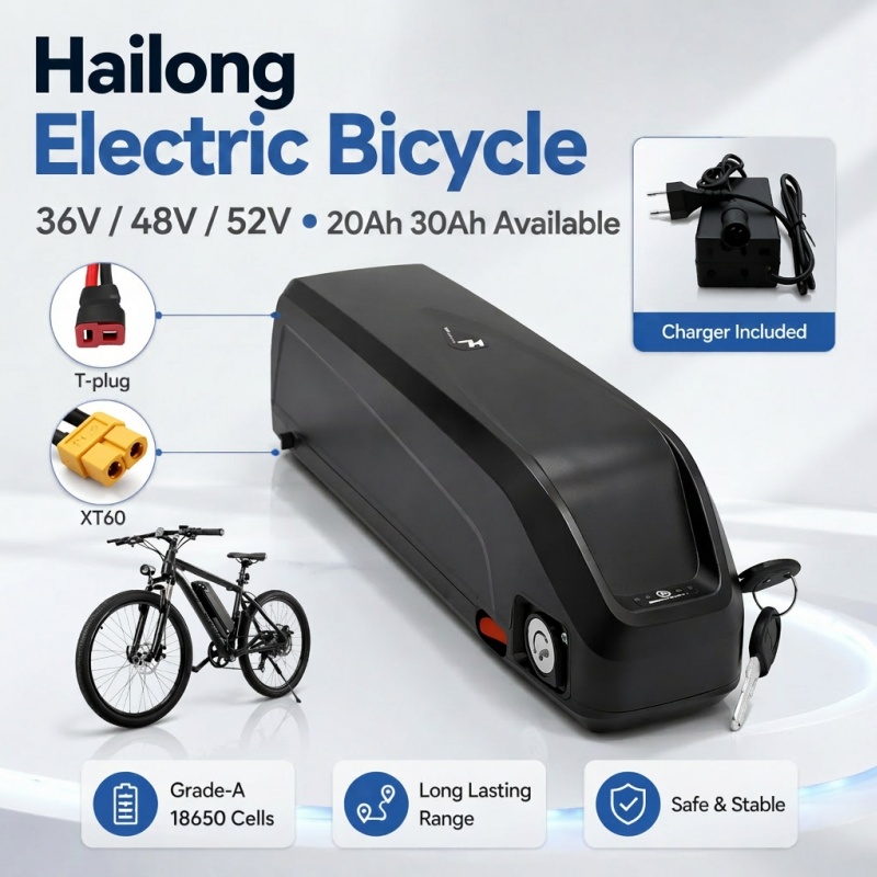 Batteria Hailong Versatile, Mu - Ebike Battery 48V 20Ah Hailong recensione e prezzo