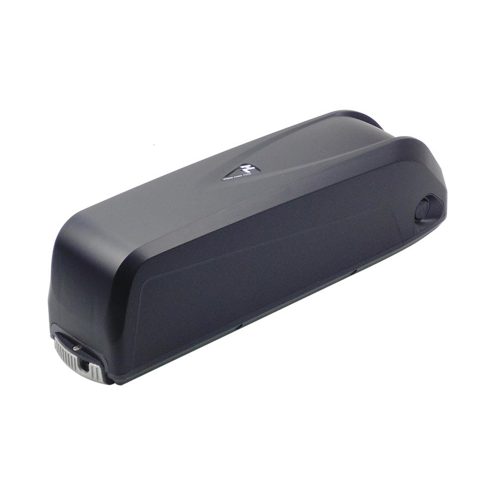 Batteria al litio Ebike Hailon - Ebike Battery 48V 20Ah Hailong recensione e prezzo